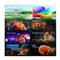 HISENSE 50A5S FHD Smart Hi-QLED TV 50