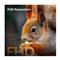 HISENSE 50A5S FHD Smart Hi-QLED TV 50
