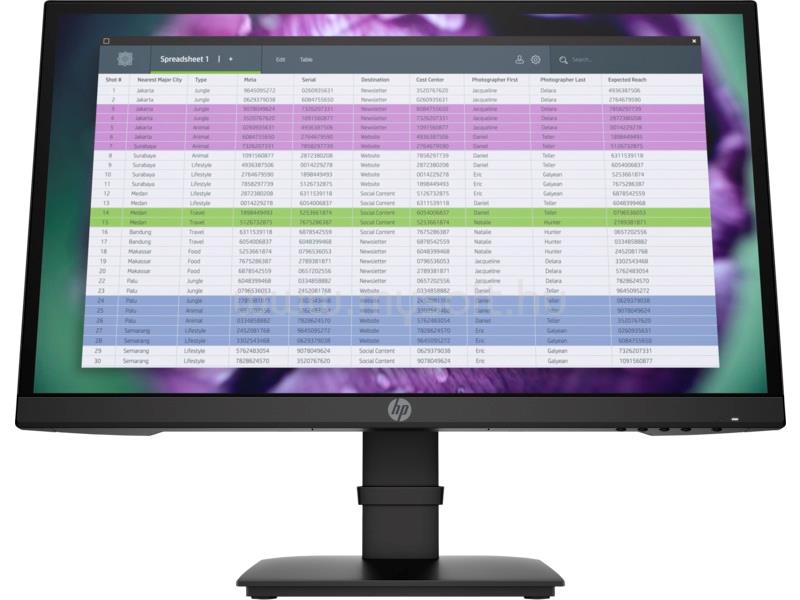 HP P22 G4 Monitor