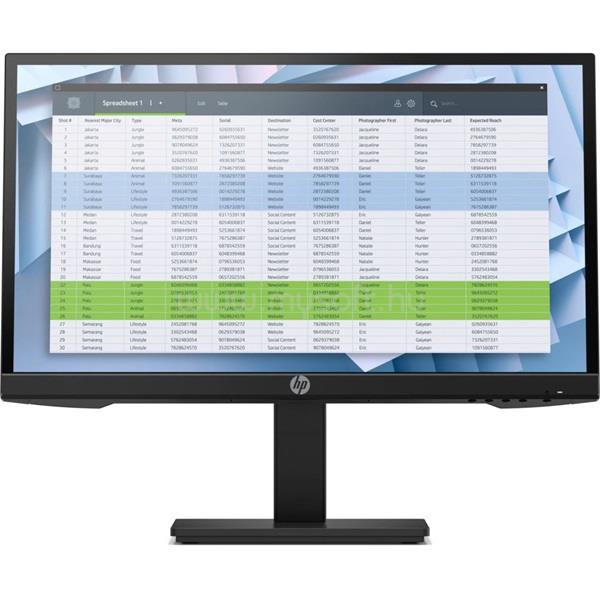 HP P22h G4 Monitor