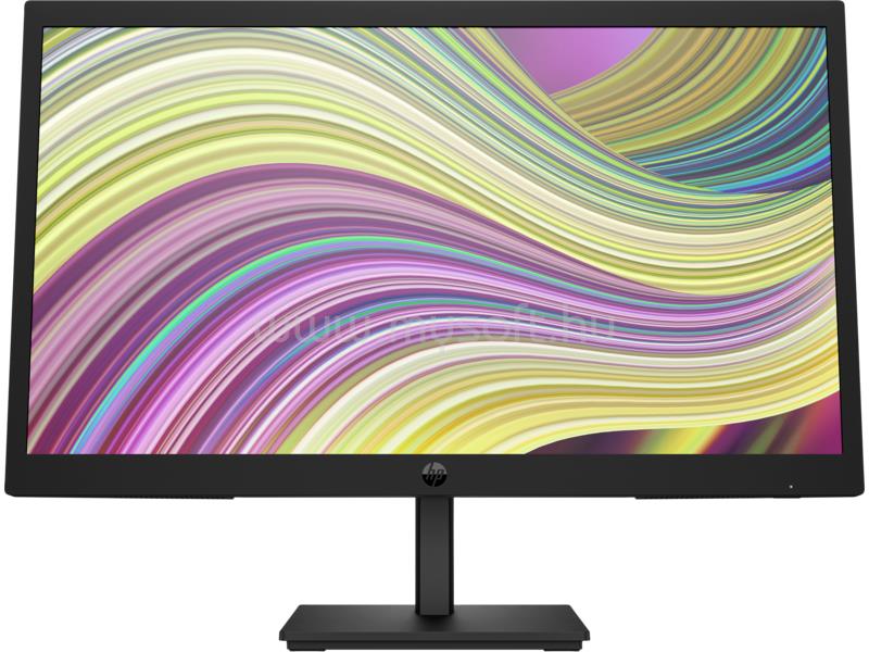 HP P22v G5 Monitor