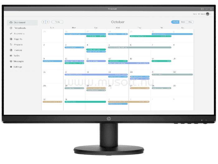 HP P24v G4 Monitor