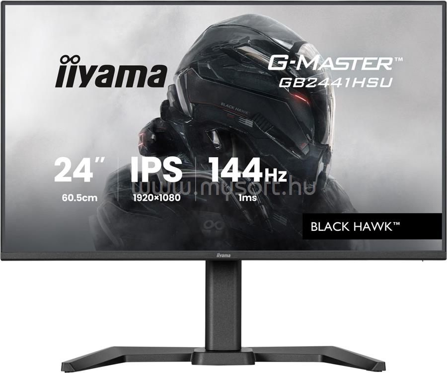 IIYAMA G-Master GB2441HSU-B1 Monitor