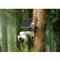 IMOU Cell PT 4G kit /SIM/3MP/3,6mm/H265/LED20m/fehér fény/SD/kétirányú hang/akkumulátoros 4G PT kamera IPC-B7EDP-3T0TEH-EU/FSP14-TYPEC small