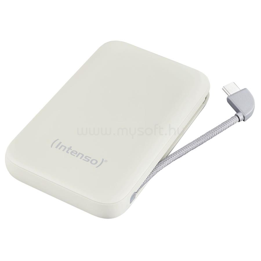 INTENSO S10000 10000mAh + Integriertes USB-C PowerBank Beige