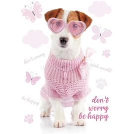 IRIS A4 irattartó mappa, különböző színekben és mintákkal, 230x315 mm IRIS_TA4_OG small