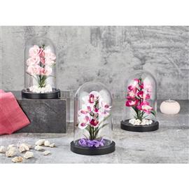 IRIS E5636 ORCHIDEA dekoráció művirággal búrában 11x18cm IRIS_E5636 small