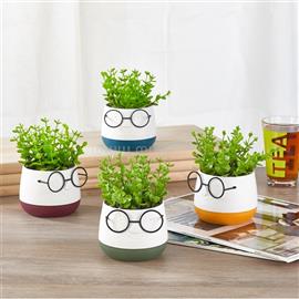 IRIS E5720 szemüveges fej dekoráció művirággal kétszínű cserépben 9x14cm IRIS_E5720 small