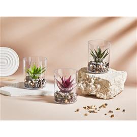 IRIS E5812 BEST WISHES dekoráció művirággal pohárban 8x10cm IRIS_E5812 small