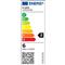 IRIS Lighting Filament Bulb Longtip E27 ST64 6W/2700K/540lm aranyszínű LED fényforrás IRIS_ILFBST646W4000K small