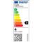 IRIS Lighting Filament Candle Bulb FLC35 4W/4000K/360lm gyertya E14 LED fényforrás IRIS_ILFCBE14FLC354W4000K small