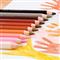 JOLLY X-Big Skin Tones extra vastag 10 darabos színesceruza készlet 3099-0003 small