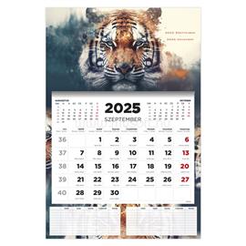KALENDART 2025/2026 Tiger 16 havi diák falinaptár 26D7620-000 small