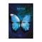 KALENDART 404 Notes found C167N A5 Butterfly Blue élfestett jegyzetfüzet 26C167N-001 small