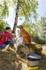 KARCHER OC3 Foldable akkumulátoros mobil kültéri tisztító 1.599-300.0 small