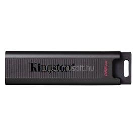 KINGSTON DT Max USB3.2 Type-C 256GB pendrive DTMAX/256GB small