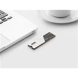 KLEVV CRAS C910 500GB PCIe x4 (4.0) M.2 2280 SSD K500GM2SP0-C91 small
