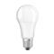 LEDVANCE Osram Value opál búra/13W/1521lm/6500K/E27 LED körte izzó LEDVANCE_4052899971042 small