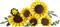 LEGO Botanicals Napraforgócsokor, Virágdekoráció 11502 LEGO_11502 small