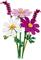 LEGO Botanicals Pillangóvirágok 11514 LEGO_11514 small