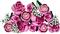 LEGO Botanicals Rózsaszín rózsacsokor, dekoratív virágok 10374 LEGO_10374 small