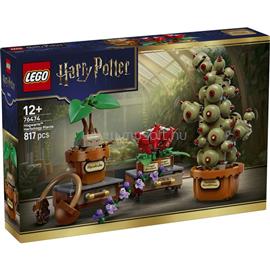 LEGO Harry Potter A Roxfort-i gyógynövénytanóra növényei 76474 LEGO_76474 small