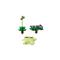 LEGO LEGOR Botanicals Hintázó növények 11506 LEGO_11506 small