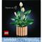 LEGO LEGOR Botanicals Vitorlavirág, virágdekoráció 11504 LEGO_11504 small