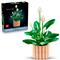 LEGO LEGOR Botanicals Vitorlavirág, virágdekoráció 11504 LEGO_11504 small