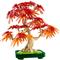LEGO LEGOR Botanicals Vöröslevelű japán juhar bonsai, növénydekoráció 10348 LEGO_10348 small