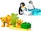 LEGO DUPLO Állatcsaládok a vadvilágban: Pingvinek és oroszlánok, fantáziadús játék 10442 LEGO_10442 small