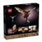 LEGO Icons Leonardo da Vinci repülő szerkezete 10363 LEGO_10363 small