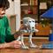LEGO LEGOR Star WarsT AT-STT lépegető, építőkészlet felnőtteknek 75417 LEGO_75417 small