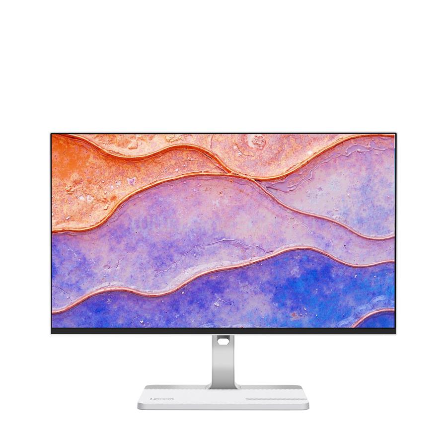 LENOVO ThinkVision L24D-4C Monitor