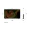 LG OLED77B53LA 77