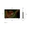 LG OLED48B53LA 48