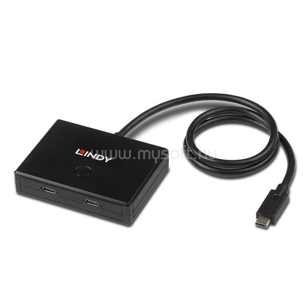 LINDY LINDY 2 Port USB 3.2 Gen 1 Type C Switch - bidirectional