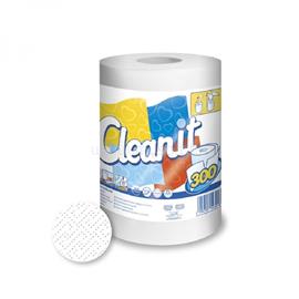 LUCART Cleanit Maxi 2 rétegű 300 lapos háztartási papírtörlő LUCART_2122838 small