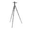 MANFROTTO Befree GT alu állvány tekerős zár +3D live fotó/videó fej MKBFRTA4GTFB-3W small