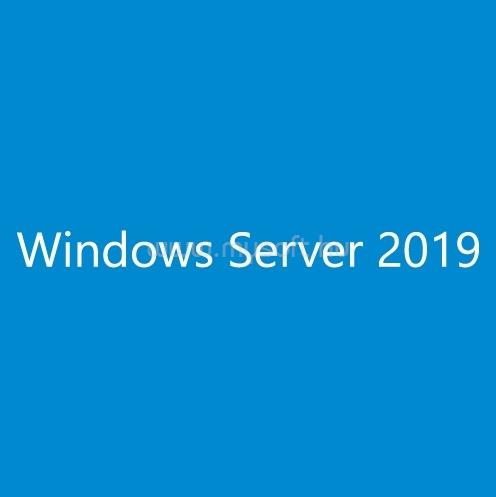 MICROSOFT Windows Server CAL 2019 English 1pk DSP OEI 5 Clt Device CAL