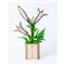 MULTIVERSUM 3D Fa Lily 3D puzzle LG666 small