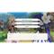 NINTENDO Elrentaros Wanderings Switch játékszoftver INS300 small