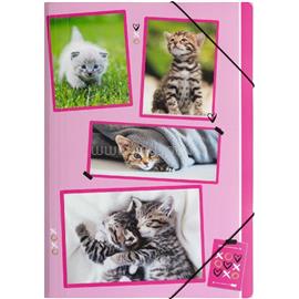 PAGNA A4 PP macskák gumismappa P2171715 small