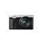 PANASONIC Lumix TZ99 kompakt fényképezőgép (Ezüst) DC-TZ99E-S small