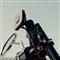 PEAK DESIGN Mobile Motorcycle Mount 1