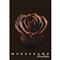 PIGNA Chocolate A4 tűzött 38 lapos kockás füzet P1111-2060 small