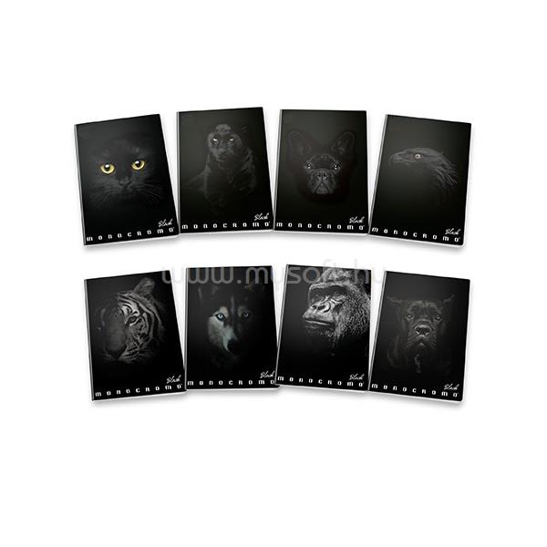 PIGNA Monocromo Black A4 38lapos vonalas füzet