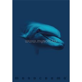 PIGNA Monocromo Blue A4 tűzött 38 lapos kockás füzet P1111-1855 small