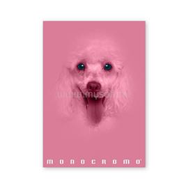 PIGNA Monocromo Pink A4 38 lap, tűzött, kockás füzet P1111-1293 small