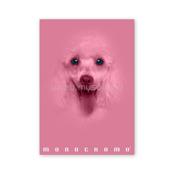 PIGNA Monocromo Pink A4 38 lap, tűzött, kockás füzet